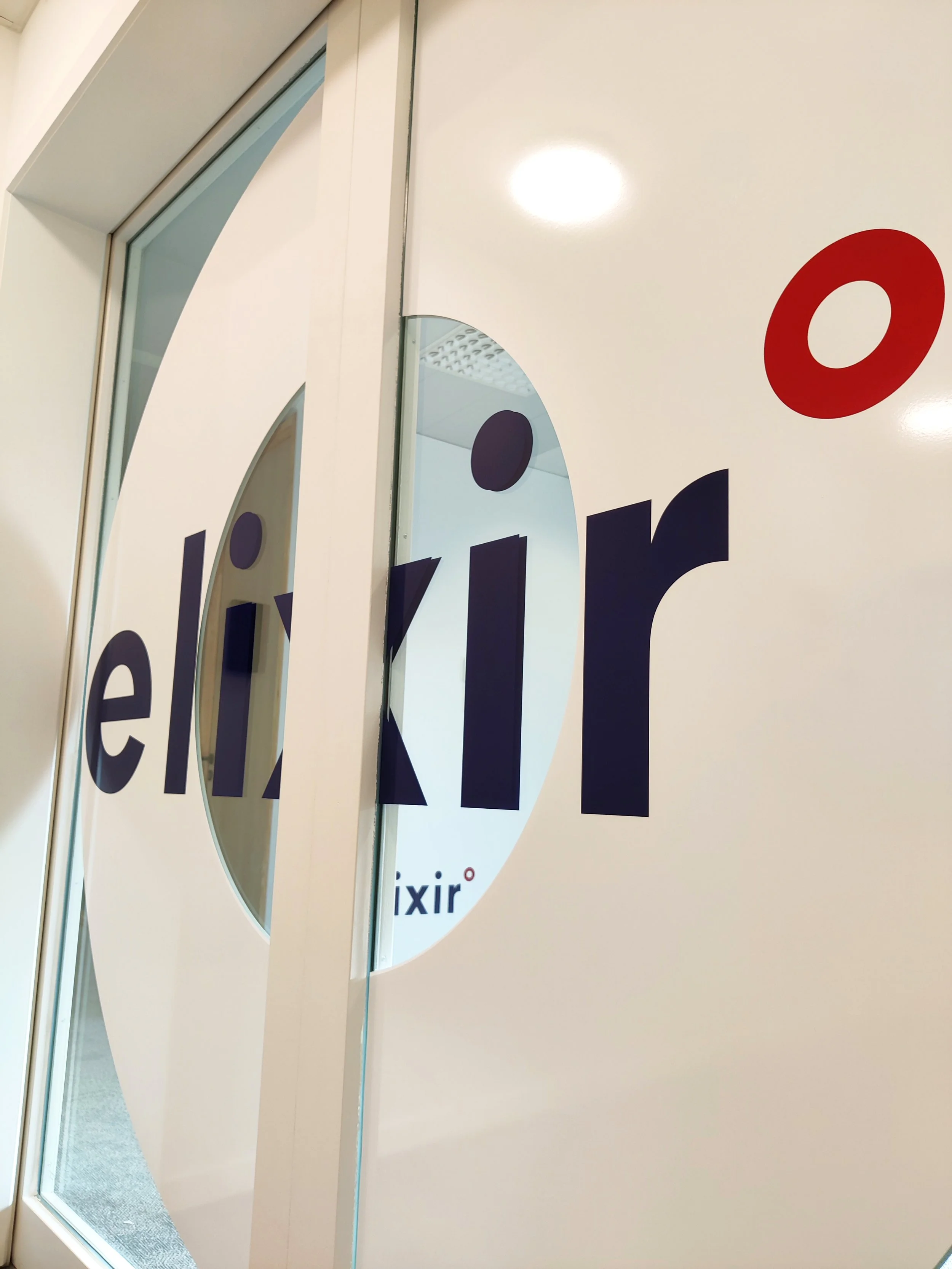 IMG_20241030_145622 copy.jpg