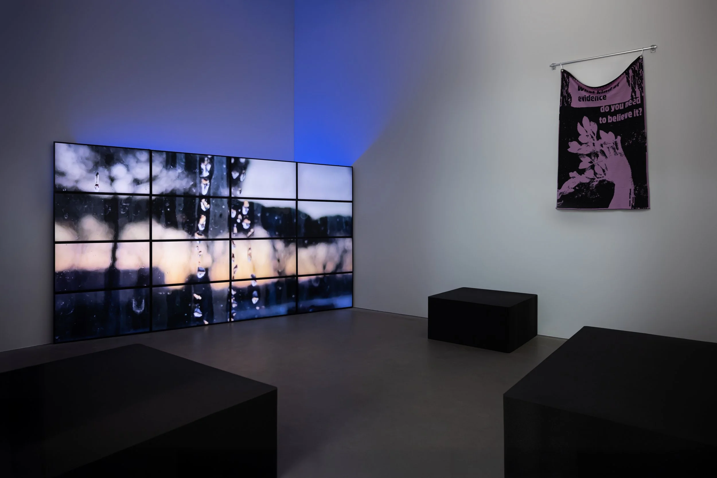 A Litany for Survival, 2025, Kunsthalle Mannheim. Foto: Riccardo Rudi.