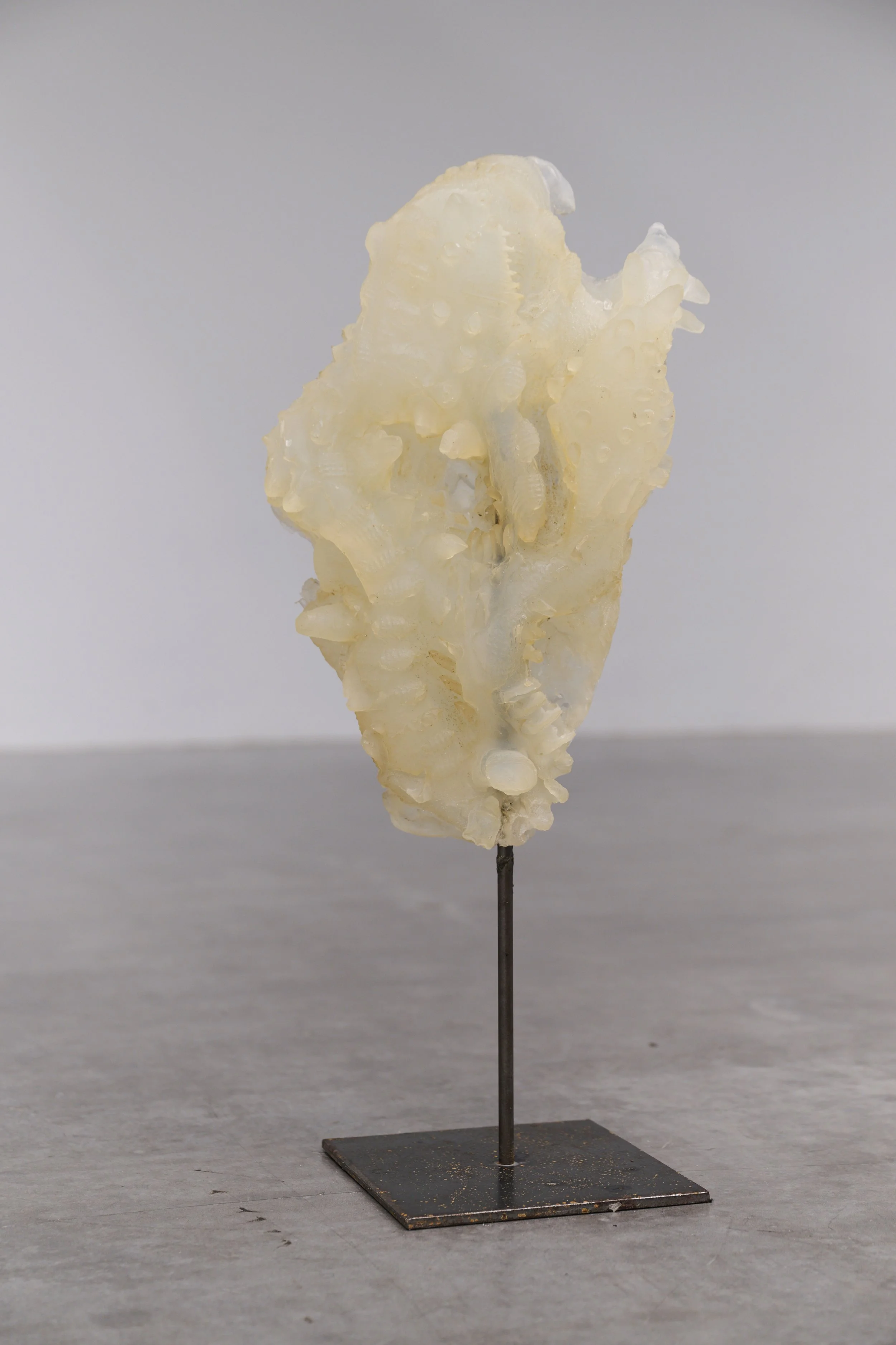 Tanja Hamester, Gesture Objects, Dirty Soaps, imprinted soaps, 2024. Foto: Frank Bauer