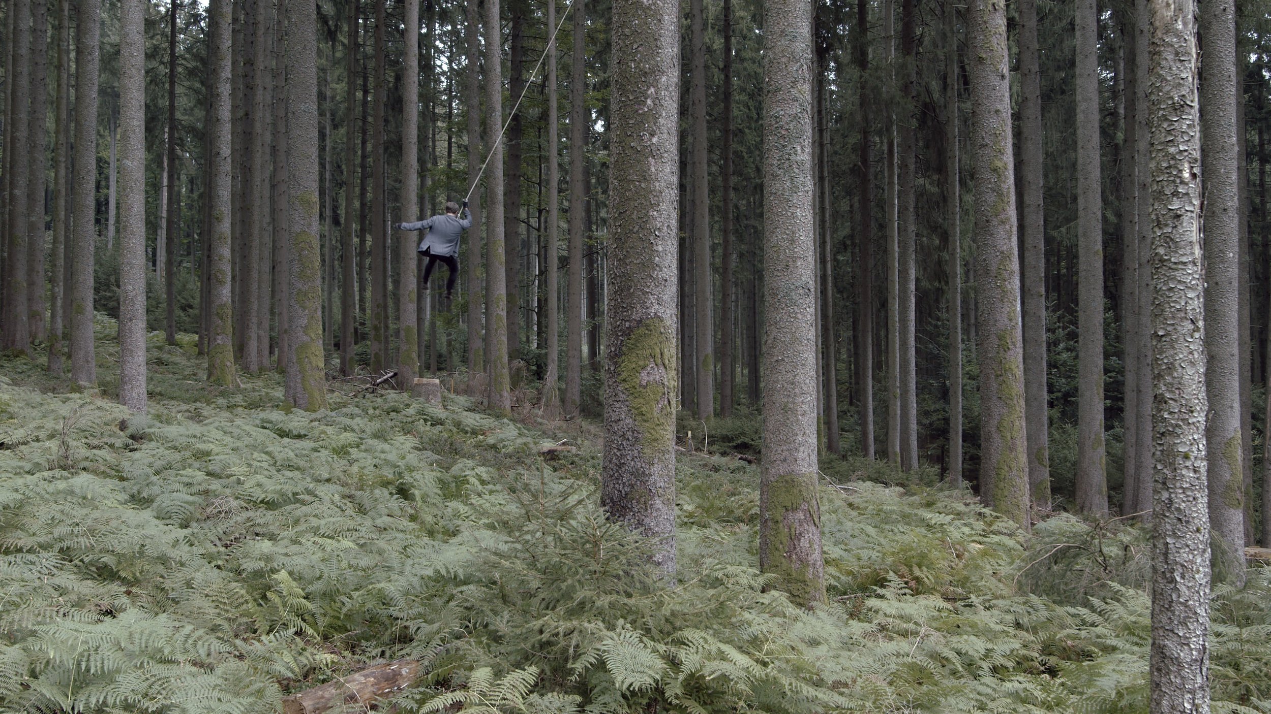 CIRCLING TREES, 2022, Videostill