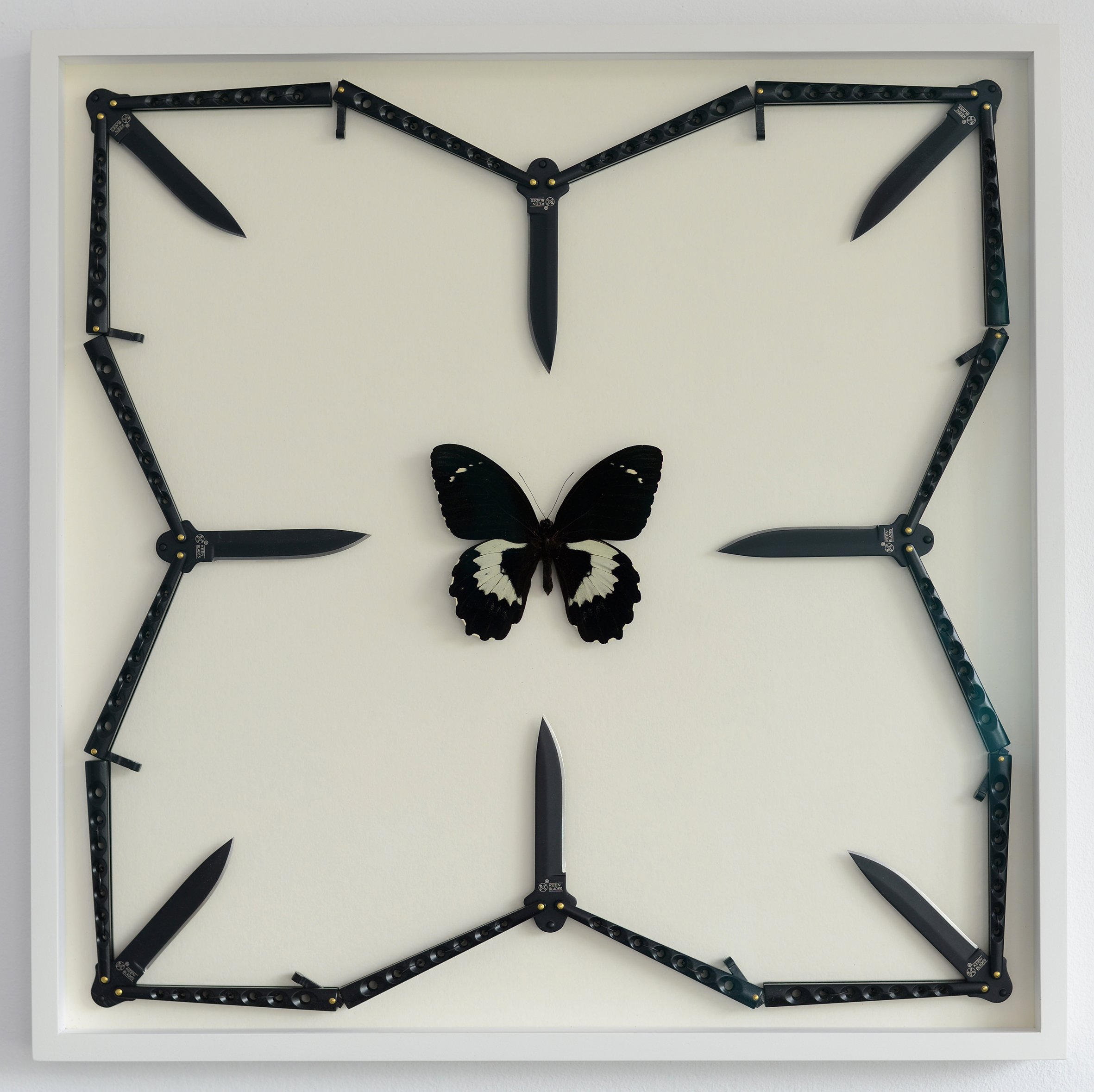 Butterfly 3, 2022, Milen Till.