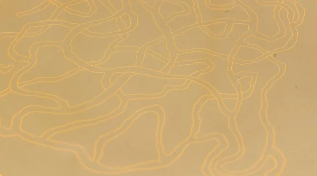 Bild zur Ausstellung Ñam Ñam. Anna Pasco Bolta, VG-Bild Kunst