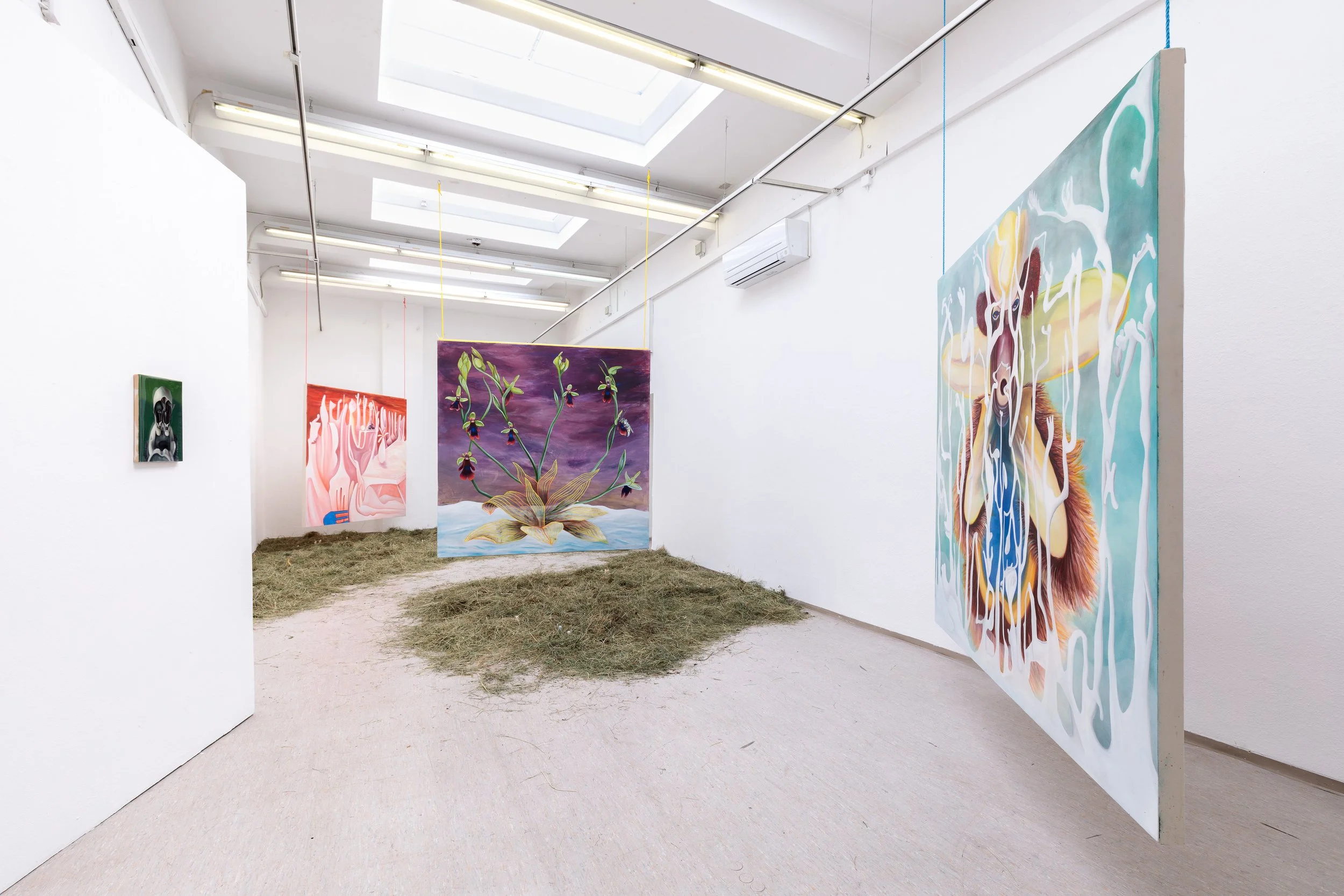 Ausstellung von Leonora Prugger "in quiet, unseen hours" im Kunstverein Kohlenhof in Nürnberg. Fotos: Lukas Pürmayr