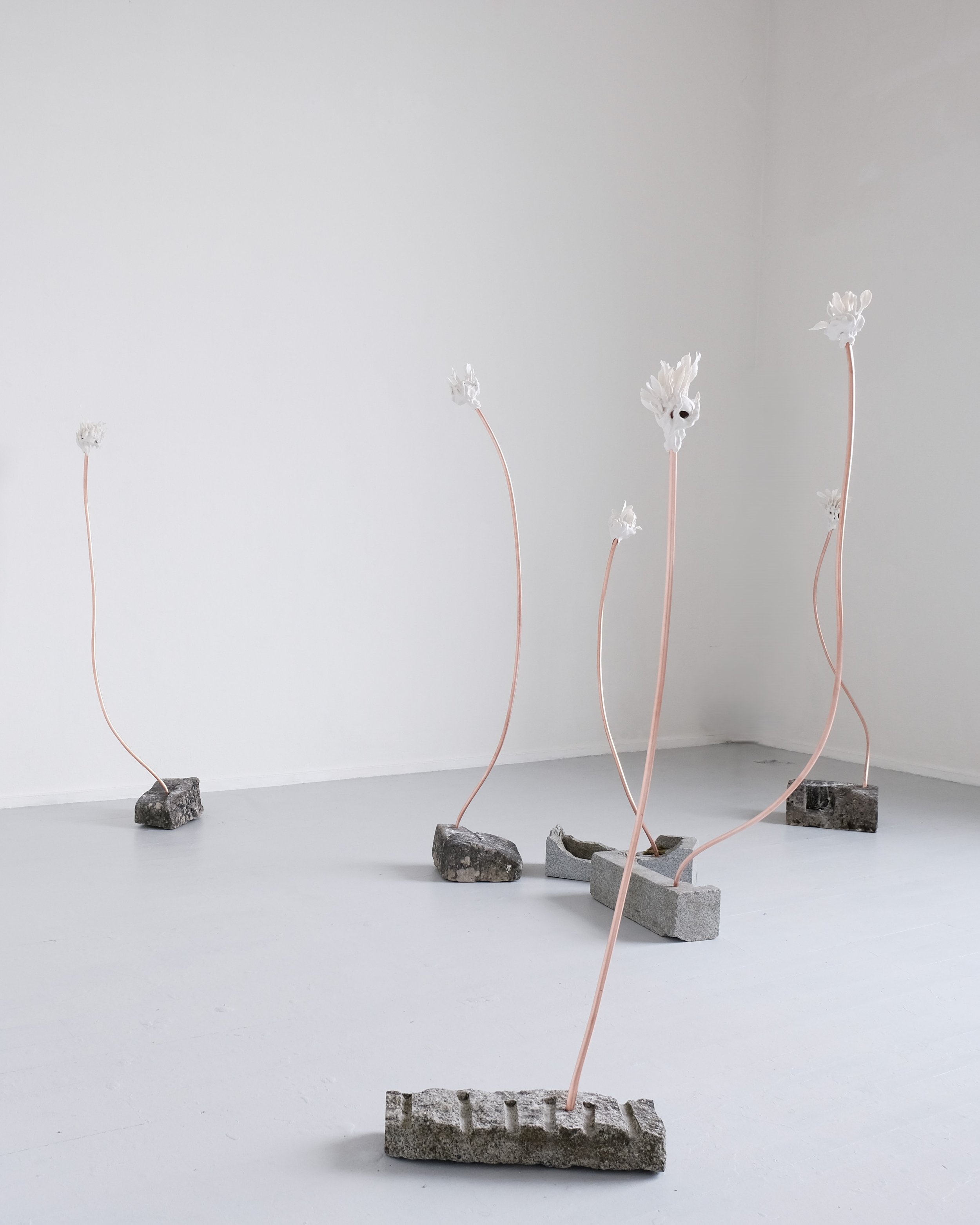 Diploma 2026 Tabitha Nagy Exhibition view 9-2.JPG