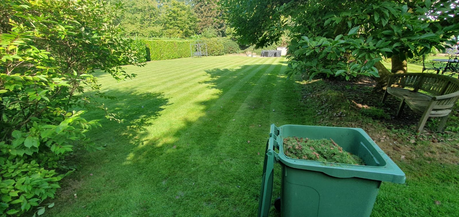 Weed it out gardening services buckinghamshire