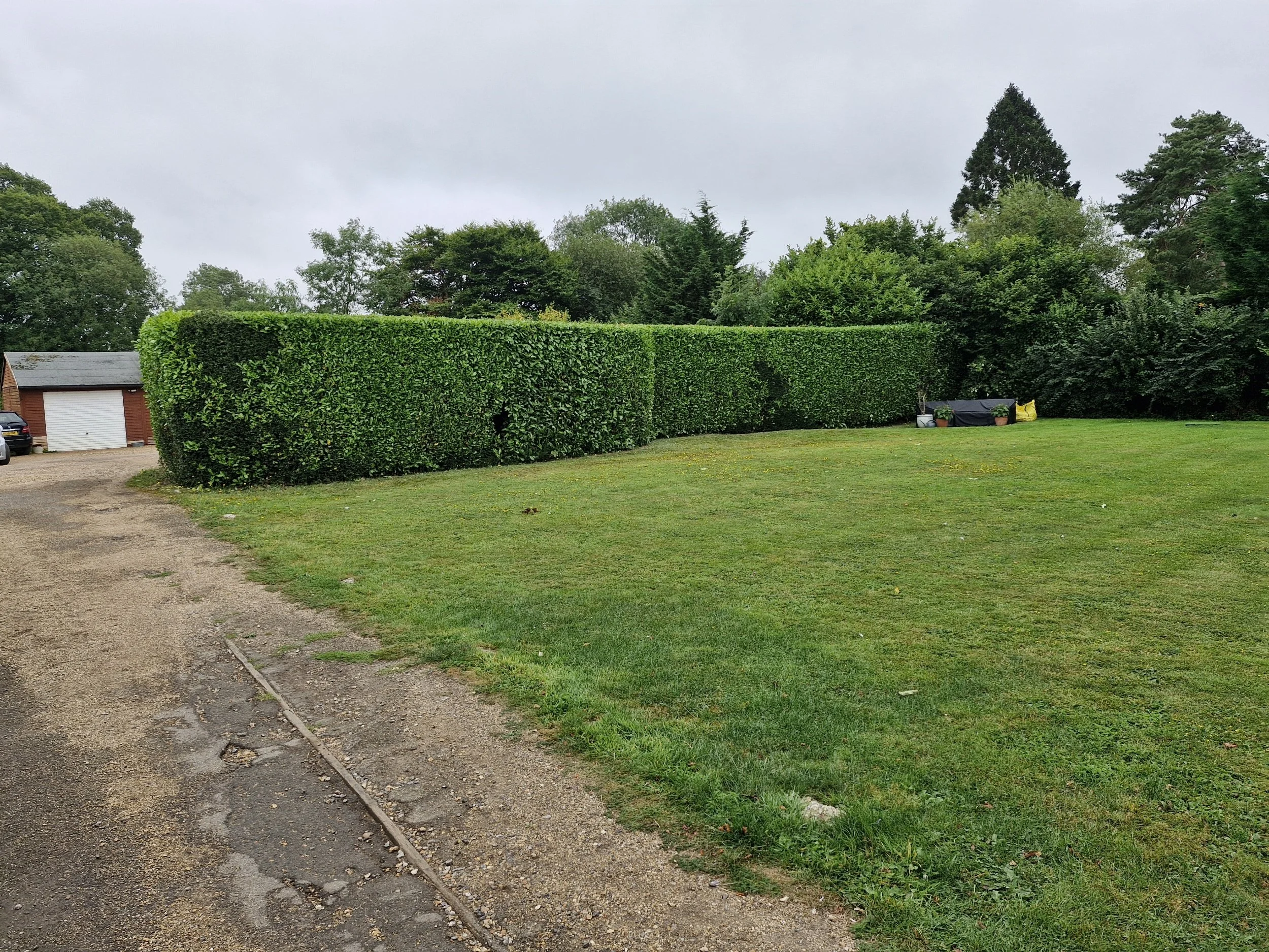 Weed it out gardening services buckinghamshire