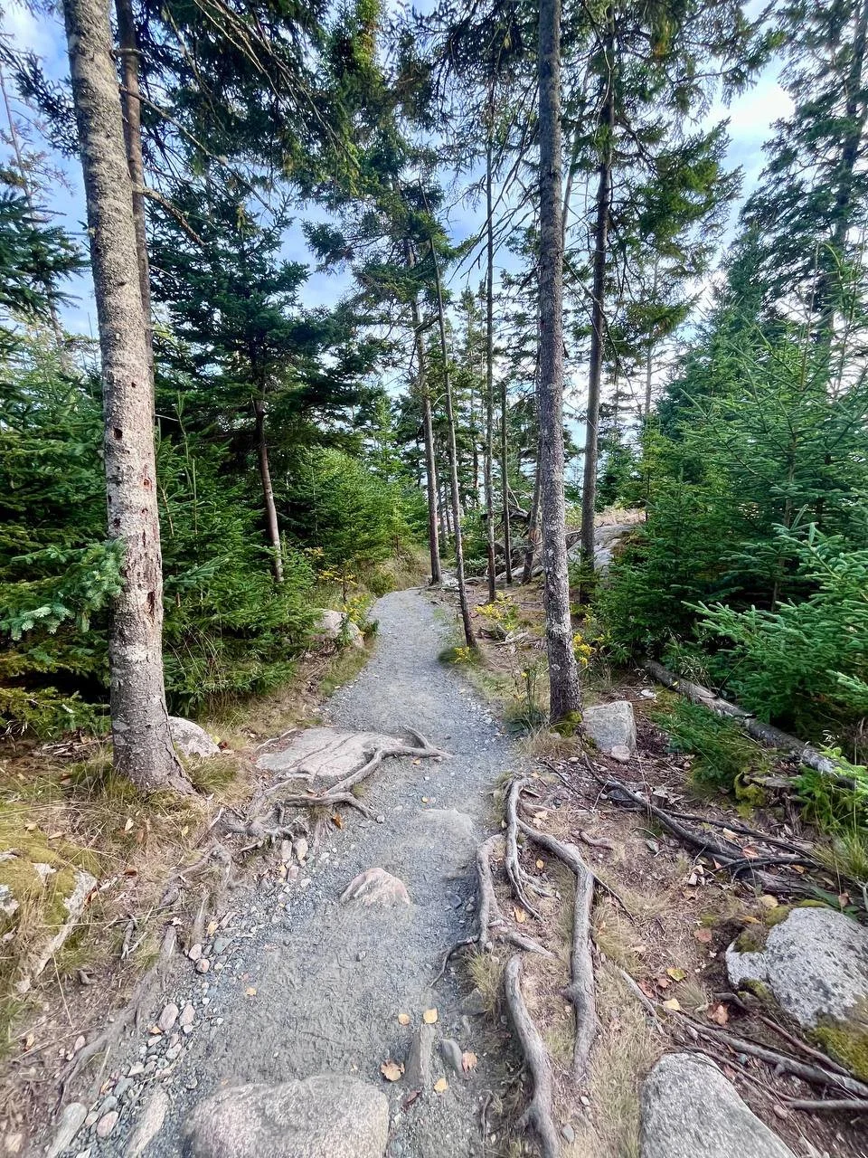 Acadia National Park