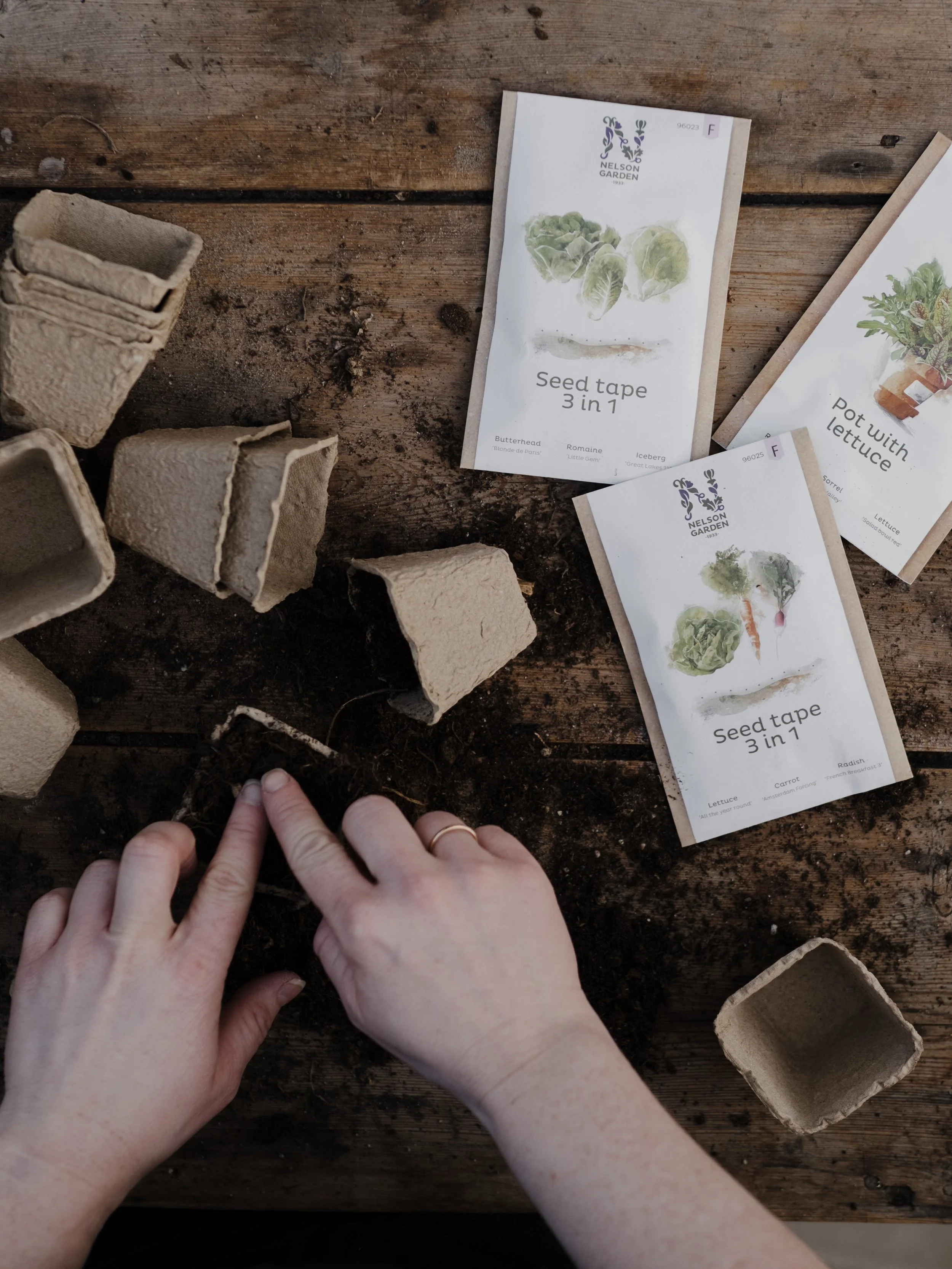 Forkultivering av frø