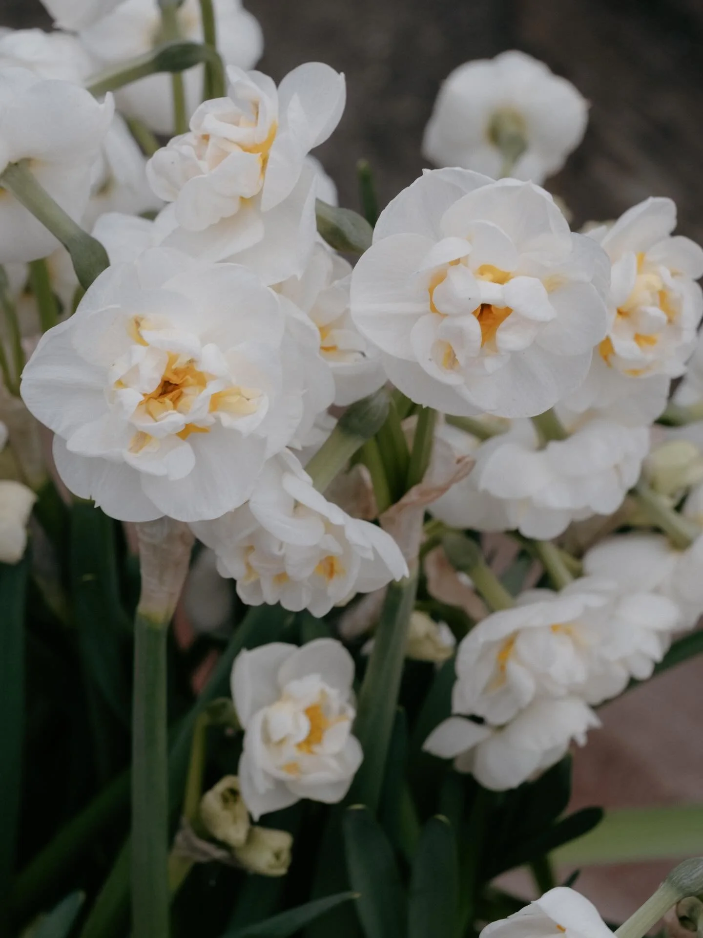 N&aring; gleder vi oss til &aring;pning p&aring; mandag🤍