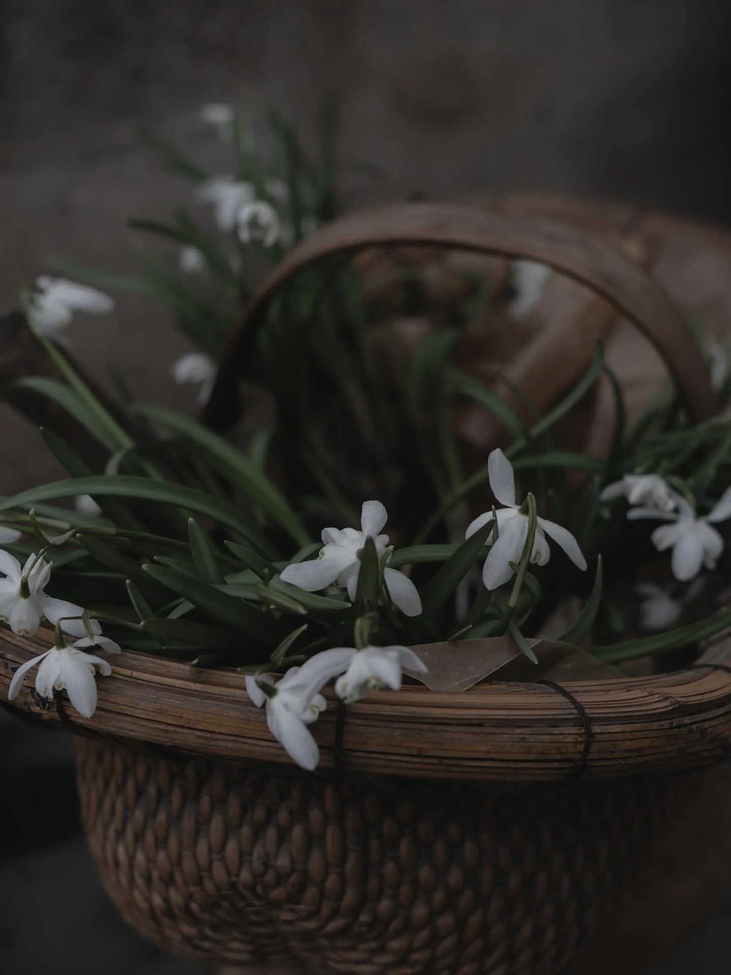 Vi gleder oss til &aring; pakke opp mer vintage interi&oslash;r fra @snowdropscopenhagen 🤍 Det har kommet s&aring; mange fine, unike ting som gir det lille ekstra!