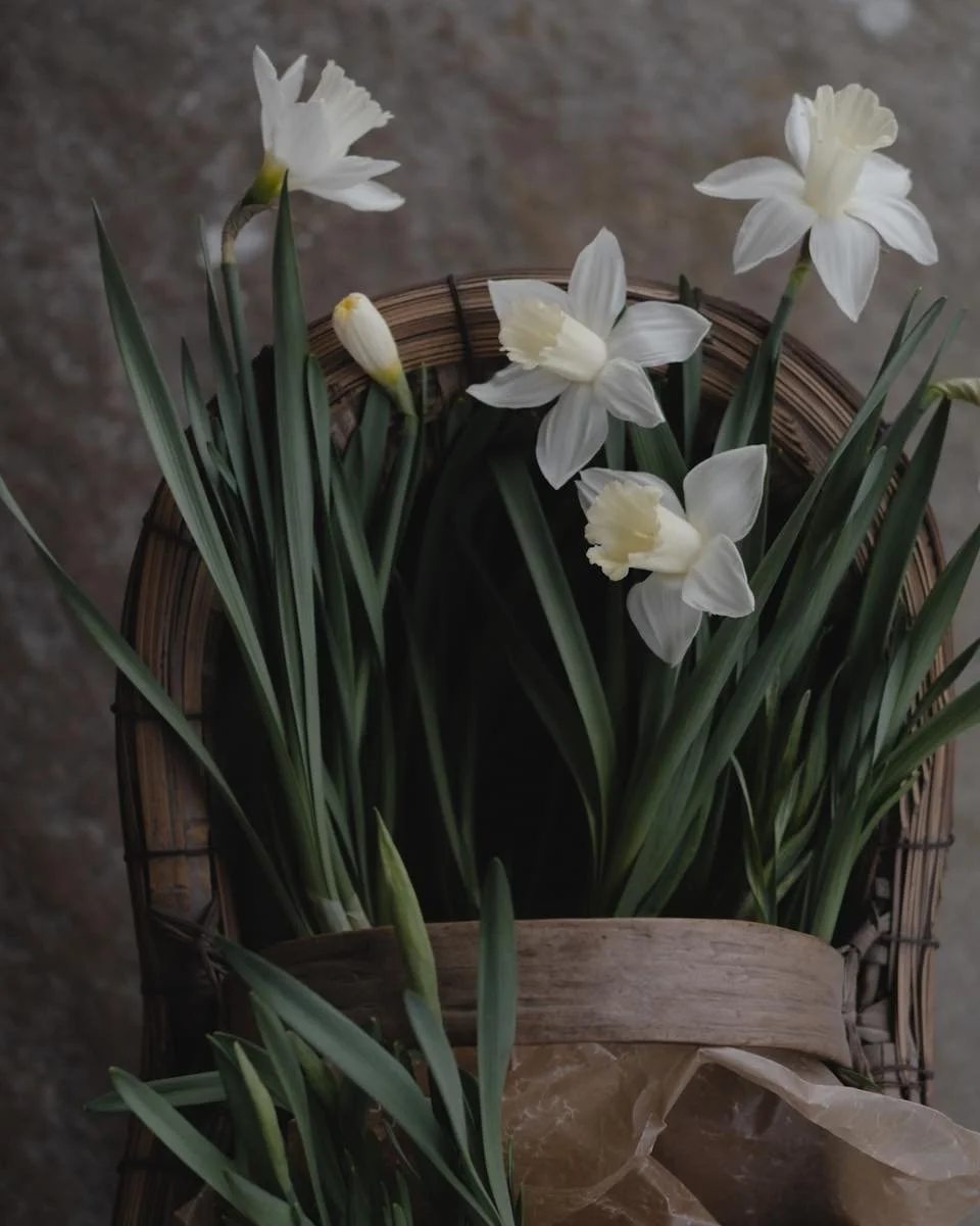 Det er veldig koselig at s&aring; mange har tatt turen innom i helgen🤍 Vi har mange fine l&oslash;kblomster og stemor inne n&aring;🤍 N&aring; er det fint &aring; plante busker og tr&aelig;r, vi har f&aring;tt inn mye forskjellig!