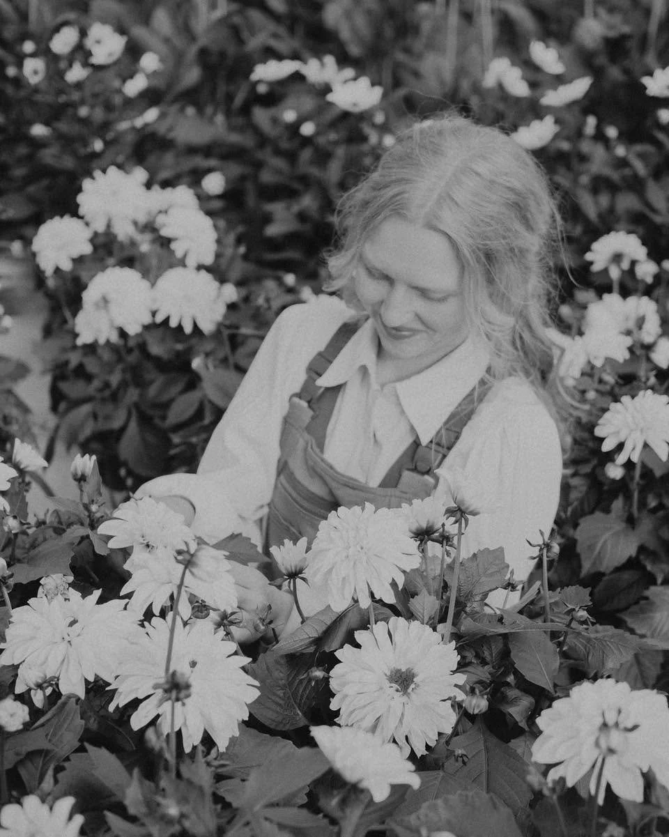 Velkommen i pinsen, vi har &aring;pent s&oslash;ndag og mandag 10-16🌱 Fyller p&aring; fra produksjonen og har s&aring;&aring;&aring; mye flotte planter inne n&aring;🤍
