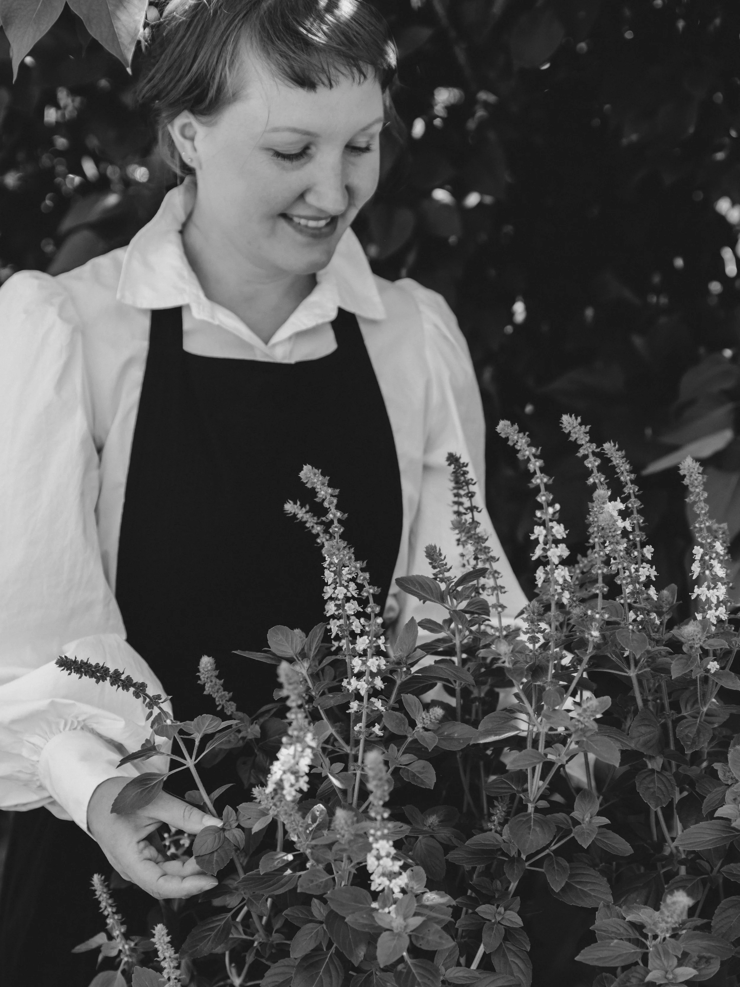 En kvinne plukker urter i en hage.