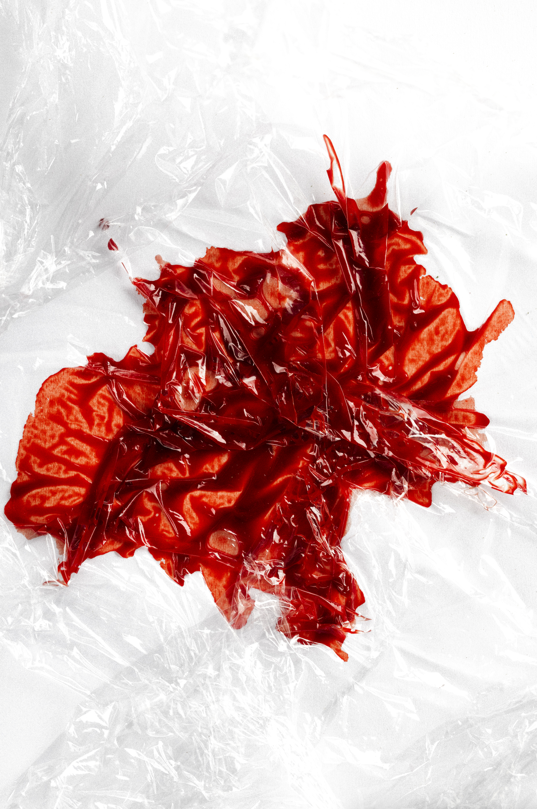 HUMANIZED /

We carry it within us, liters of it: the red liquid that keeps us alive and yet mostly stays hidden. 
