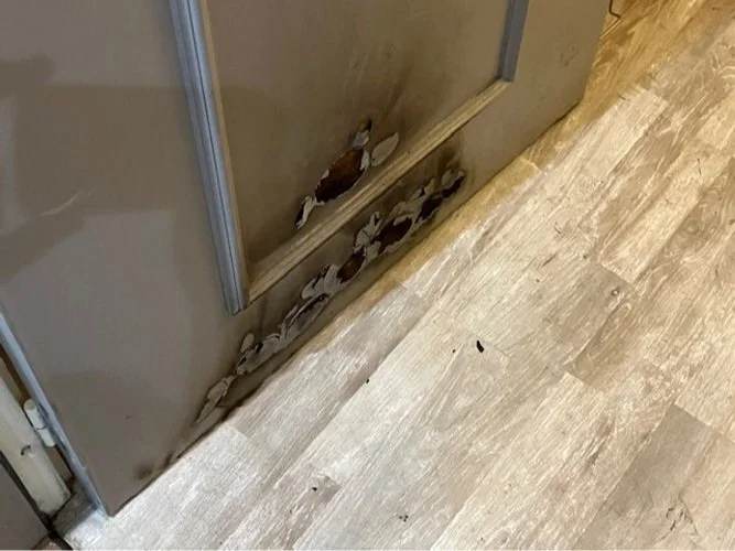 propagation feu porte