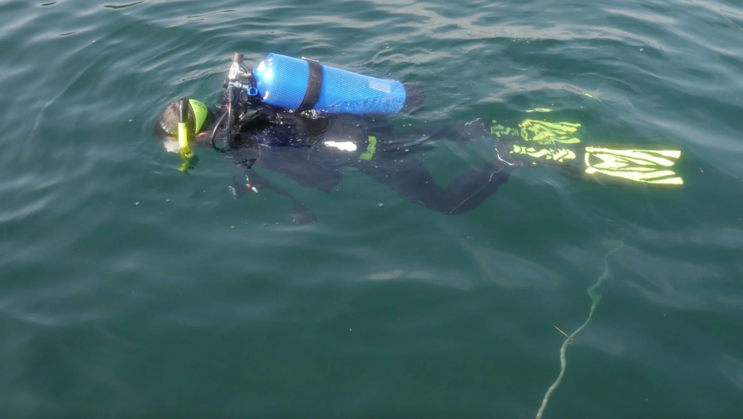 Scuba diving pro looking for Milfoil