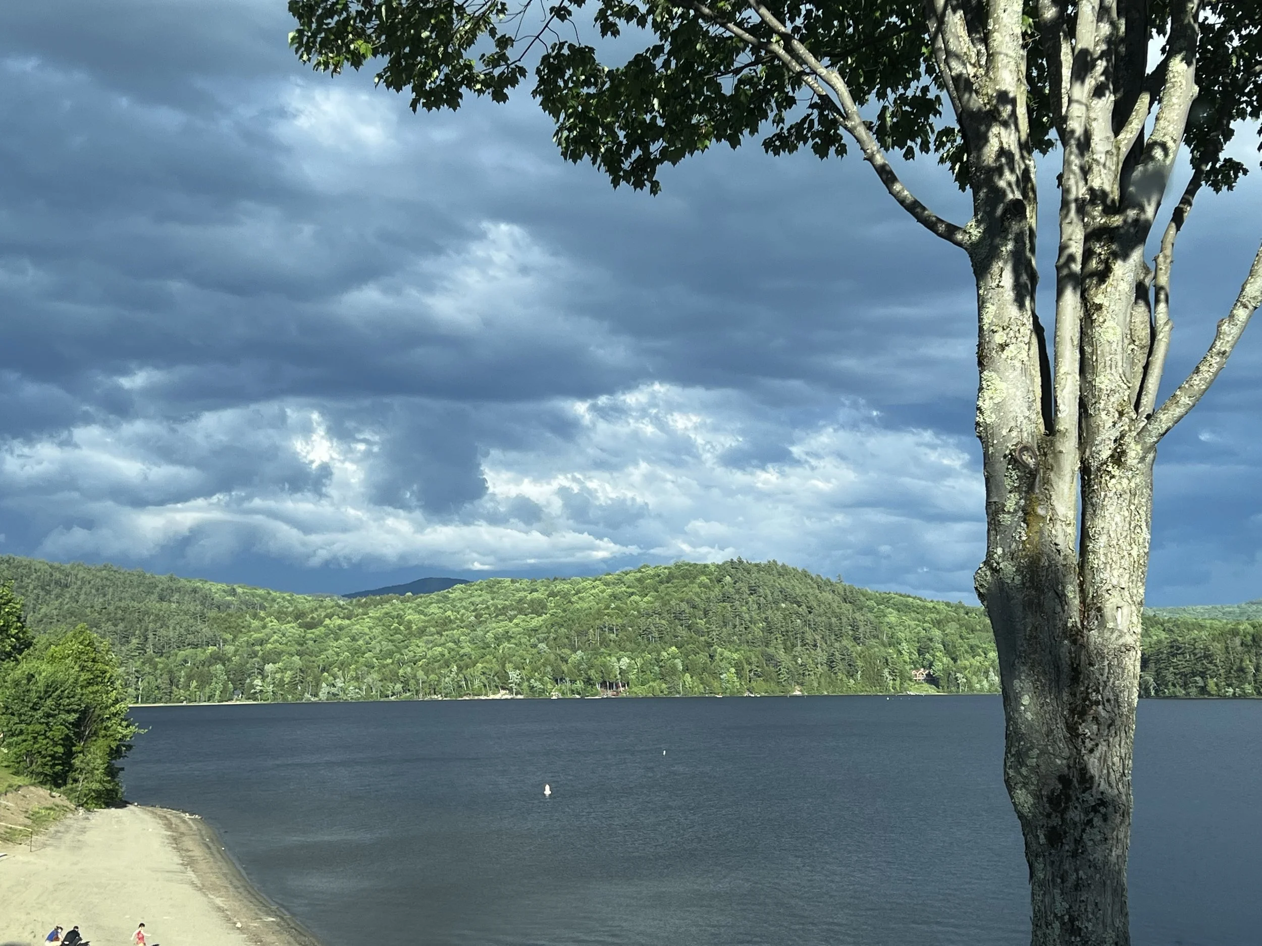 View from the town park