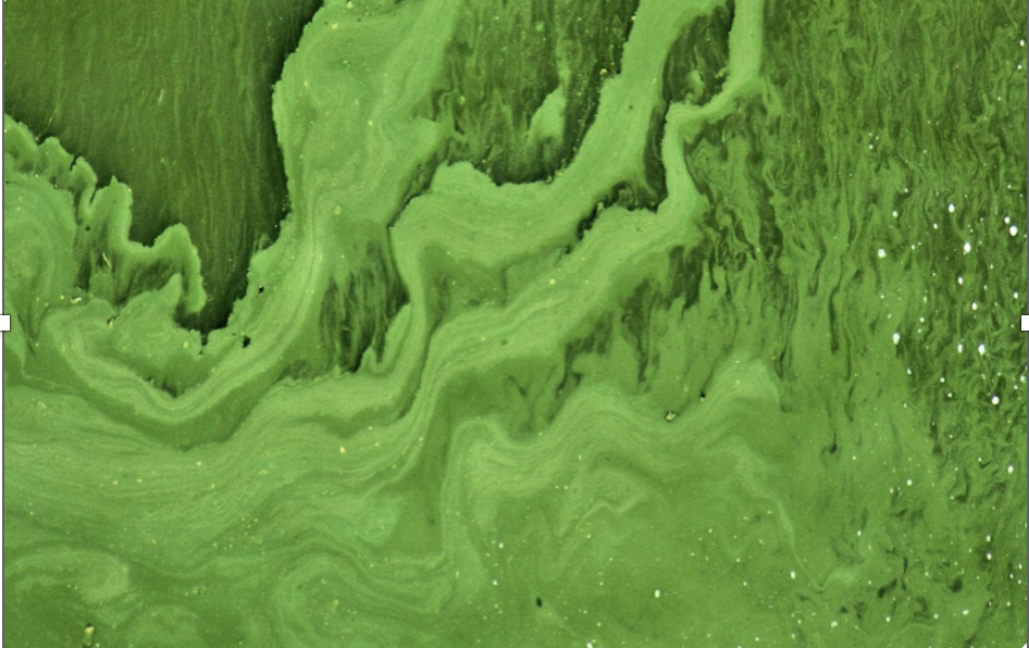 Screenshot 2026-03-03 at 2.29.41 PM.png