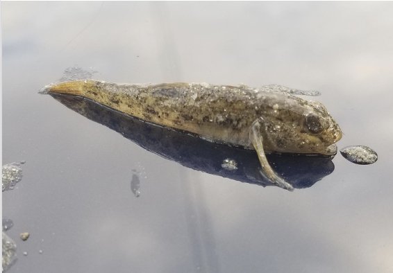 Screenshot 2026-03-03 at 2.32.15 PM.png