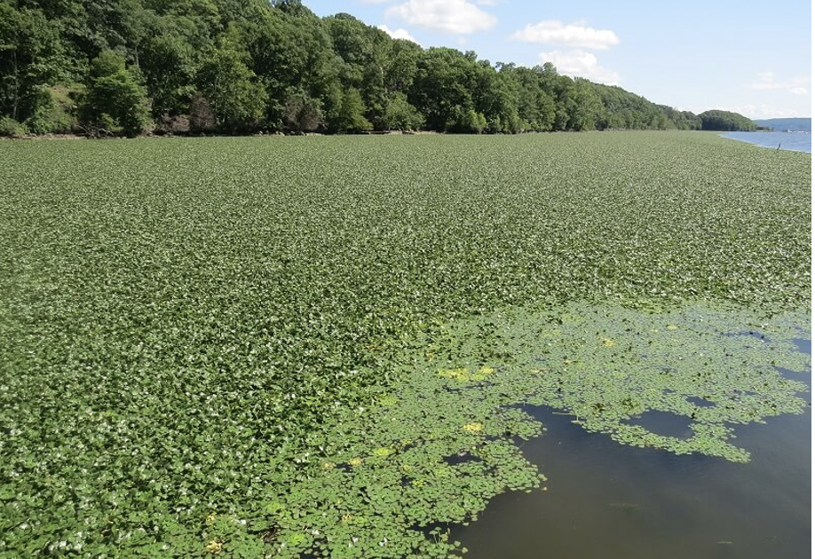 Screenshot 2026-03-03 at 2.32.23 PM.png