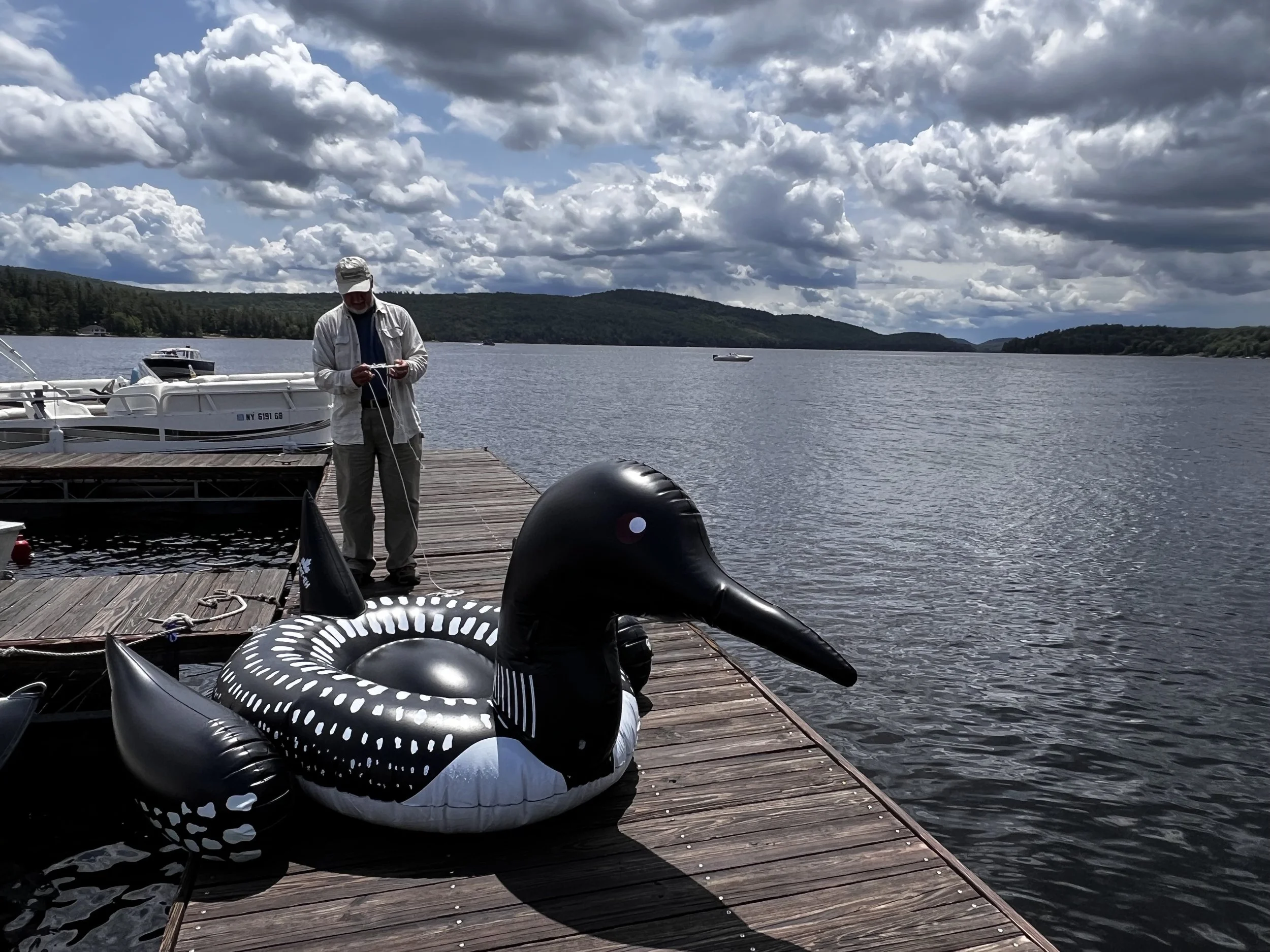 A rather large loon at the launch