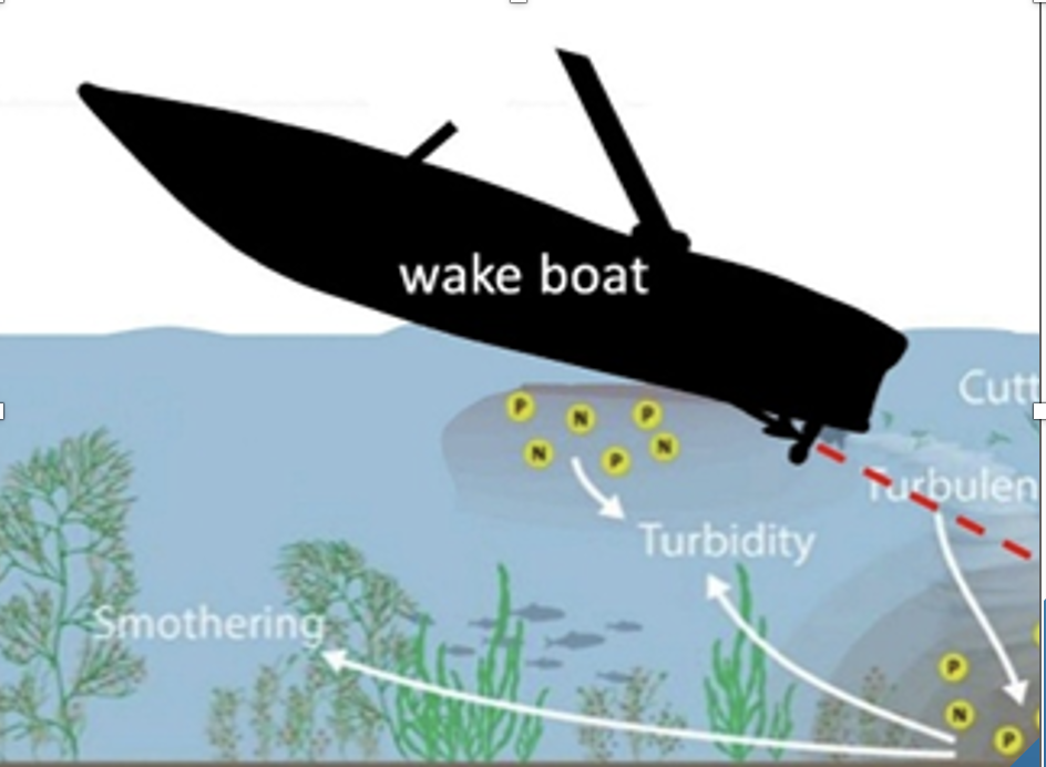 Screenshot 2026-03-03 at 3.27.04 PM.png