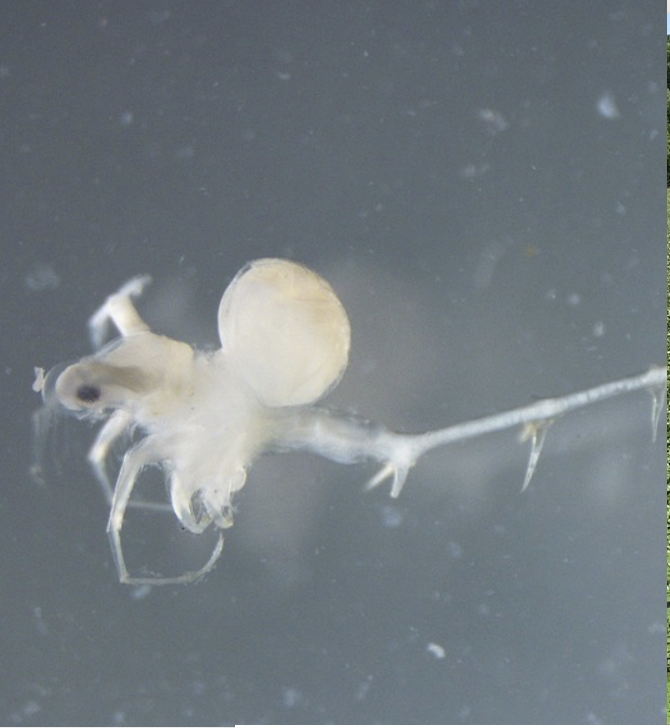 Screenshot 2026-03-04 at 3.50.32 PM.png