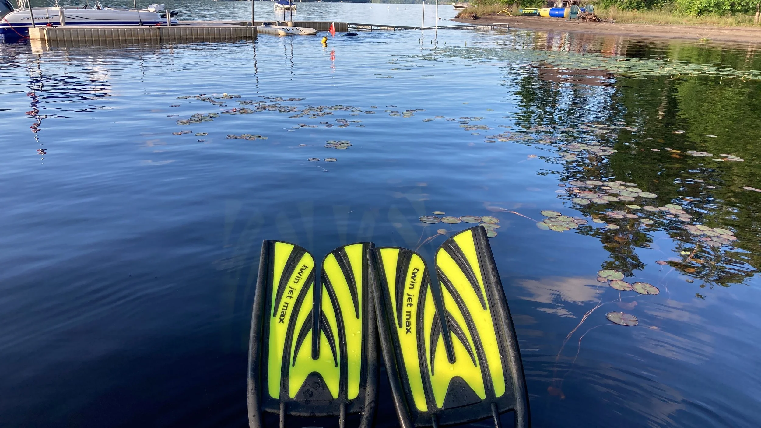 Diving in for invasive species search