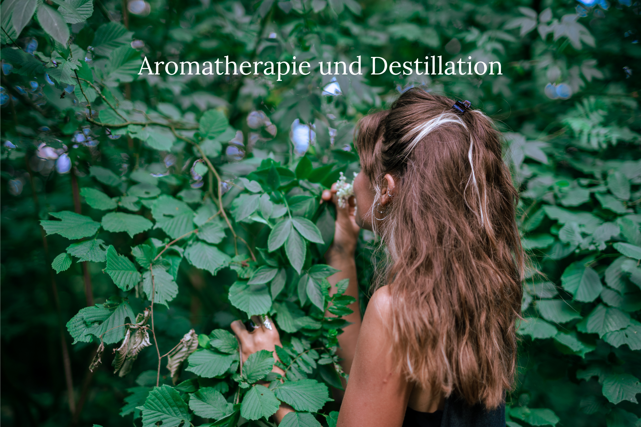 Aromatherapie und Destillation