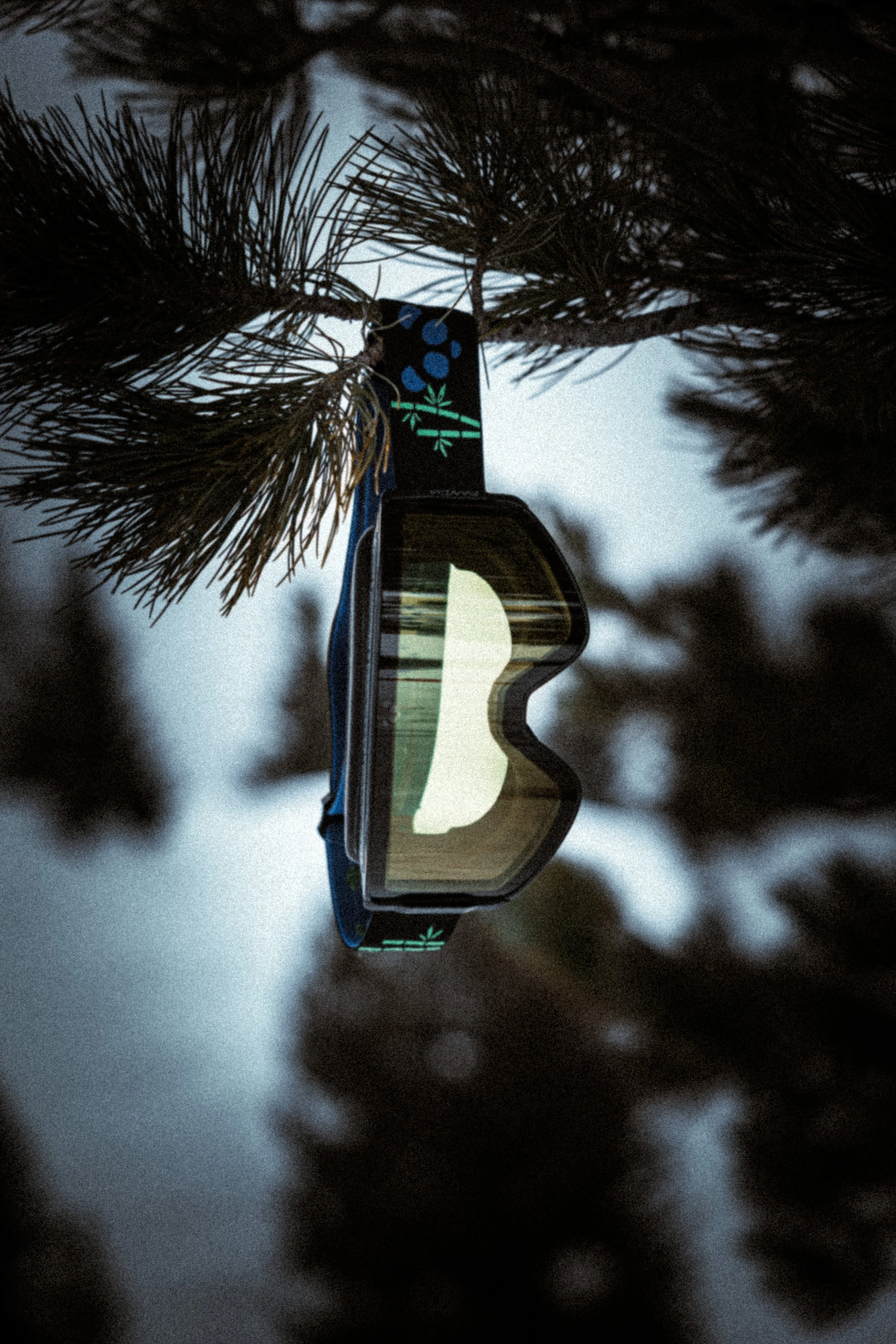 Panda Optics Selects ALT-14.jpg