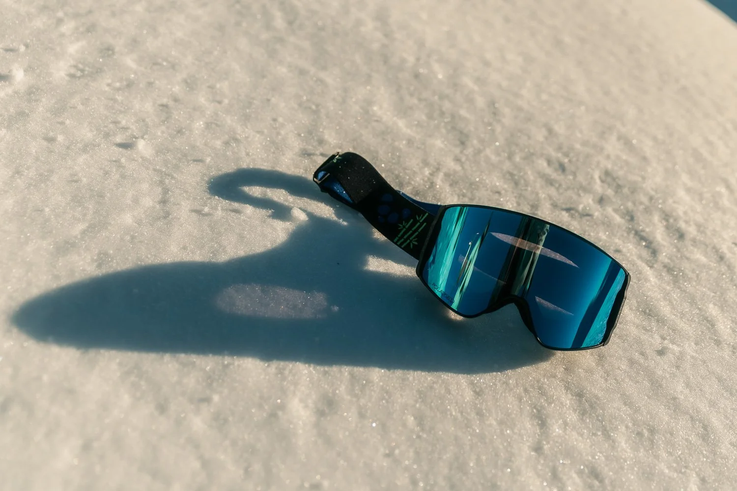 20251214_RL_Panda Optics_RL FINALS_WebRes-10.jpg