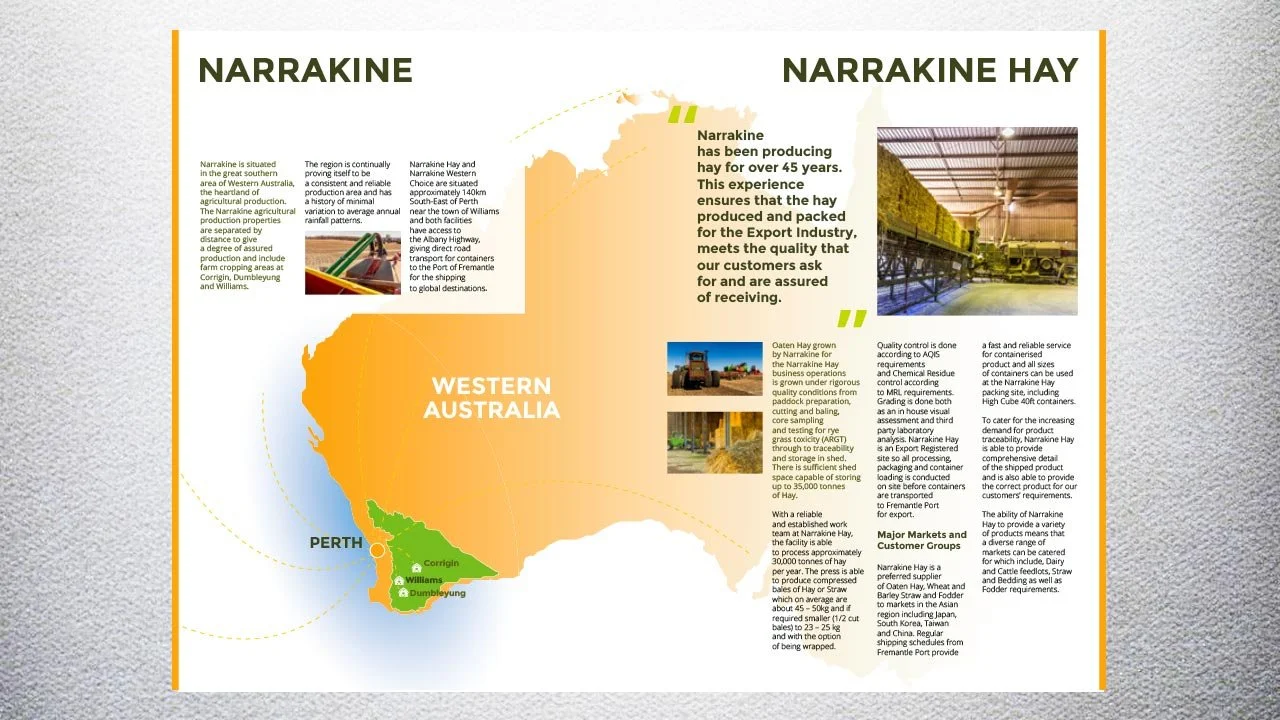 NARRAKINE - BROCHURE DESIGN