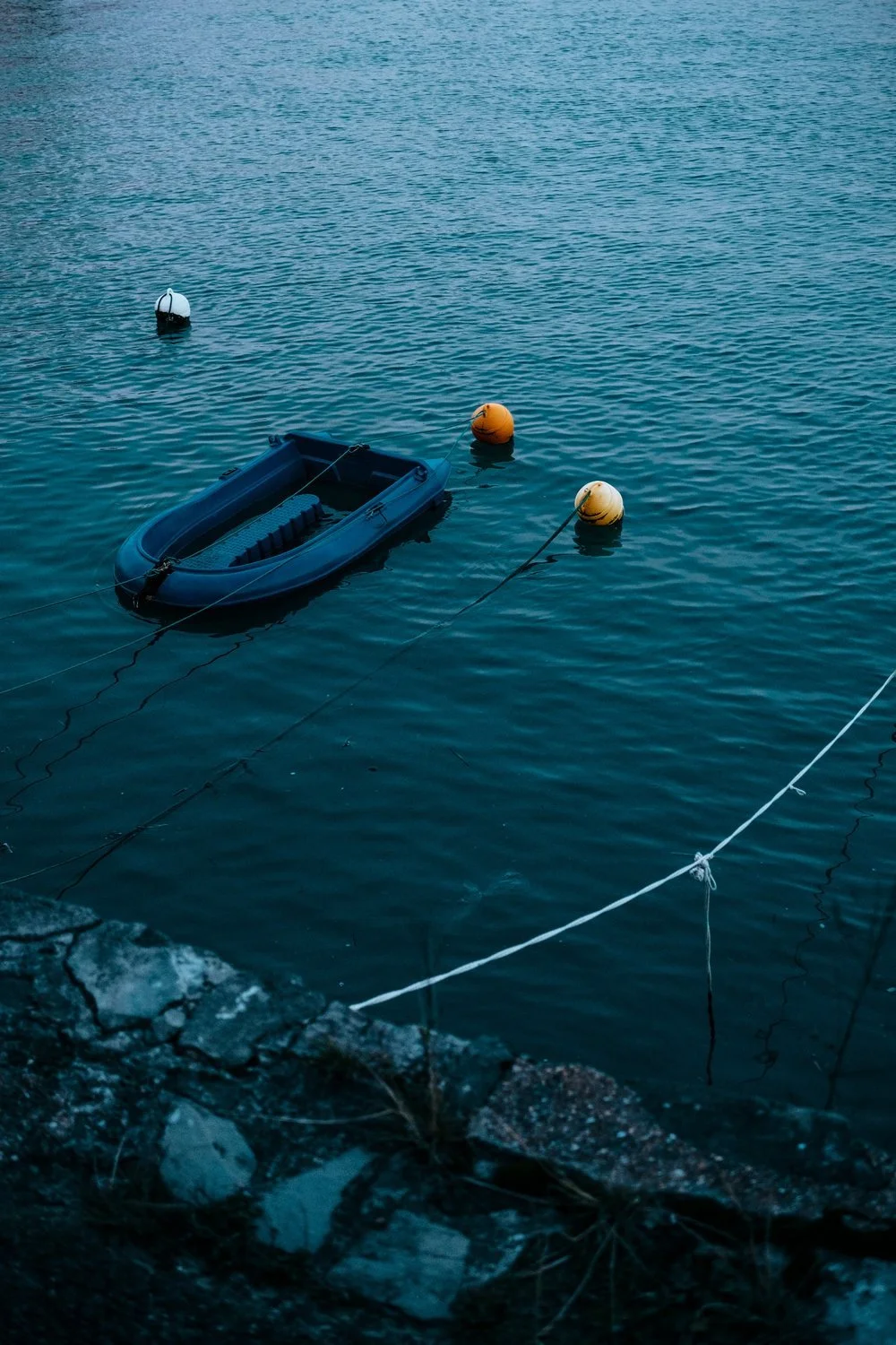 DSCF6195.jpg