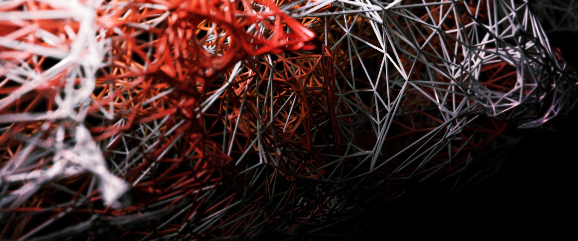c2b0fa48802915.58a284c57908b.jpg