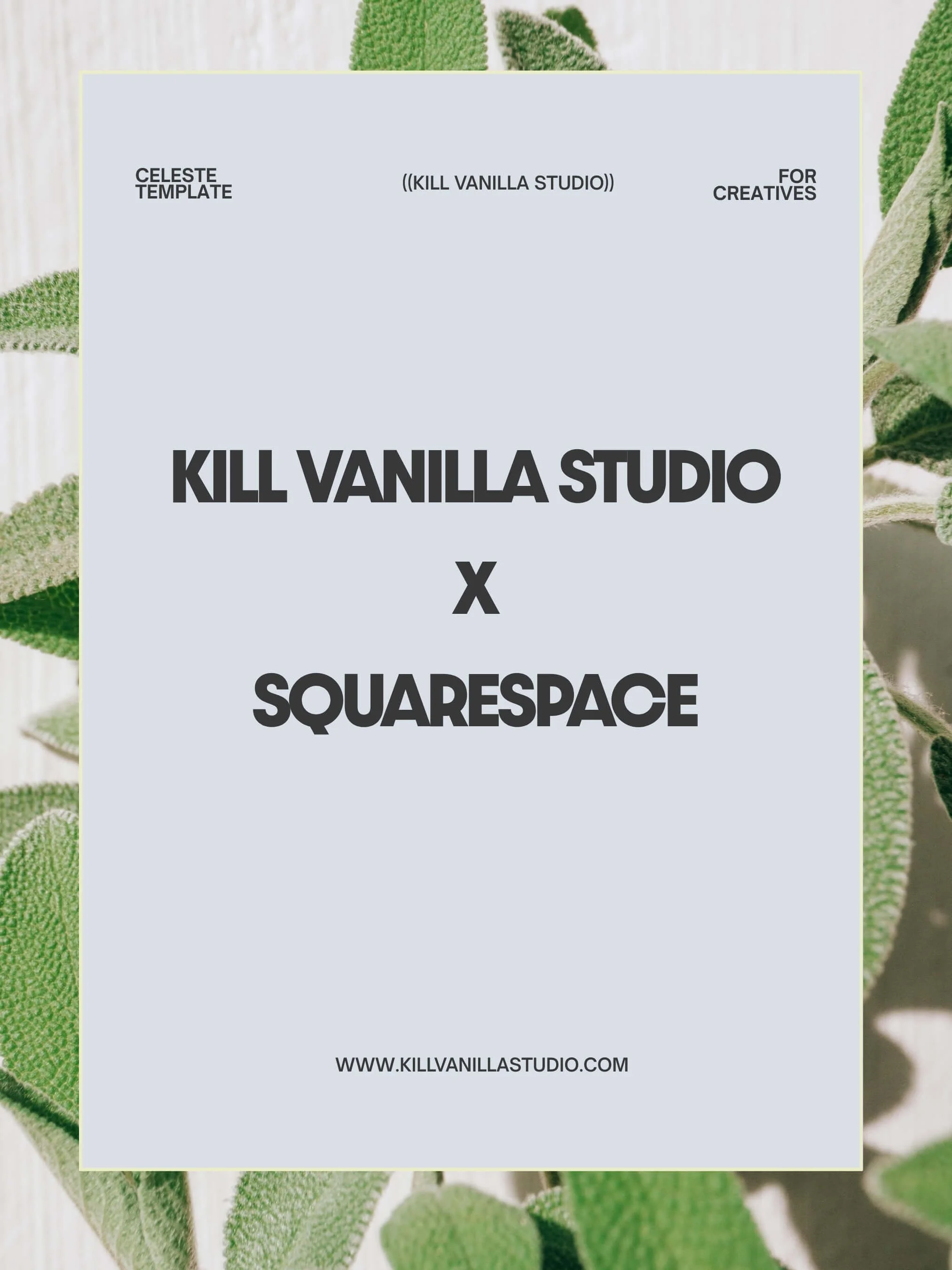 kill-vanilla-makeup-artist-website.jpg