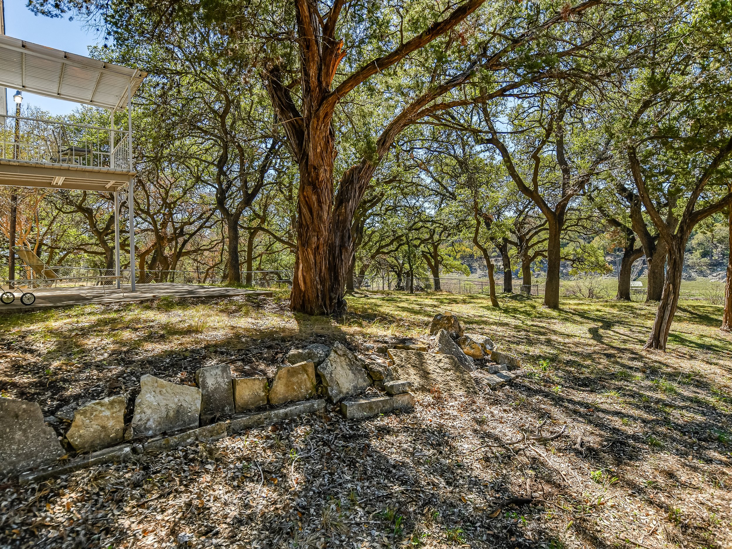 View of a forested area with several large trees and a raised platform structure with railing to the left.