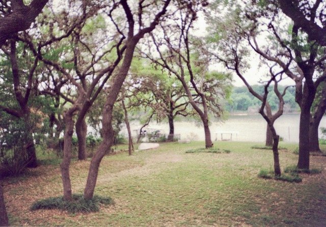 Park with trees and a view of a lake in the background