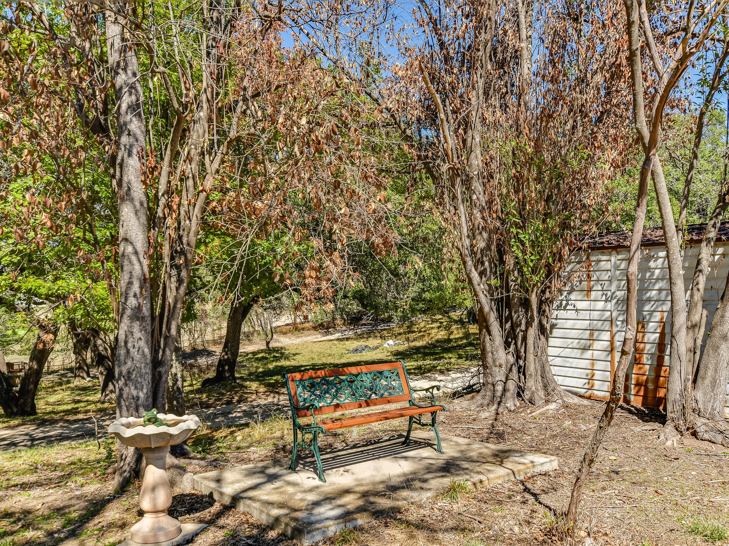 Outdoor garden scene with a wooden bench and a birdbath surrounded by trees with variously colored leaves, including green and brown. A small shed is partially visible in the background.