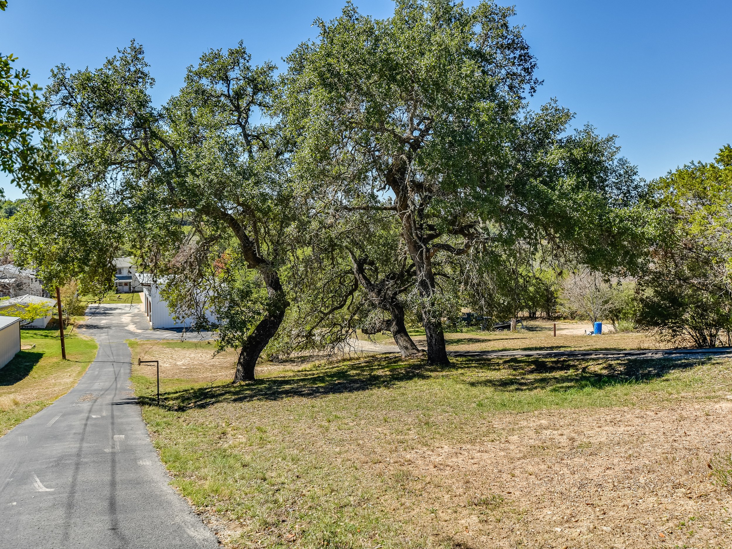 A paved path leading through a grassy area with large trees on the right and white buildings in the background under a clear blue sky.