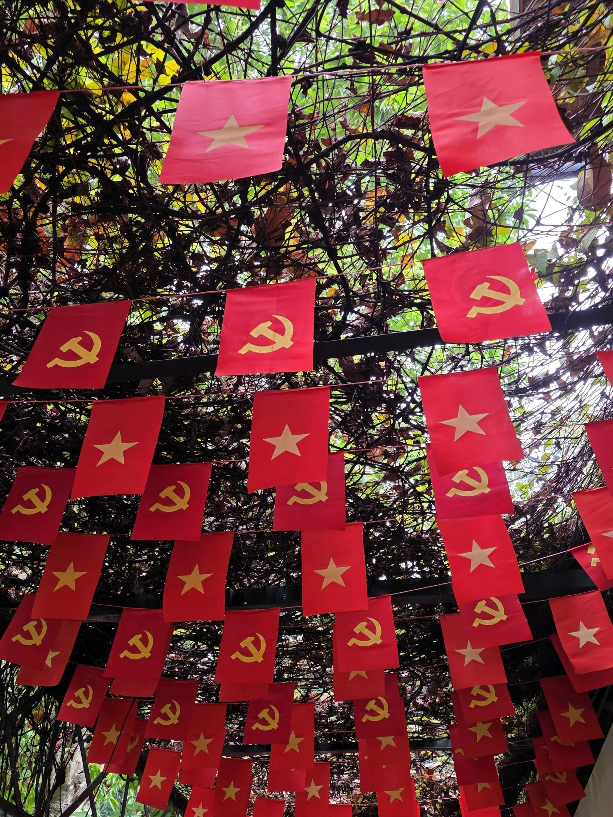 Vietnam Exposed My Lack of Education