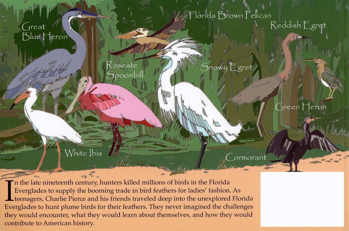 Egret-Back-Cover.jpg