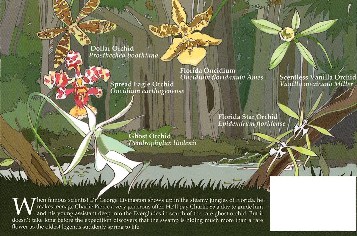 Calusa-Back-Cover.jpg