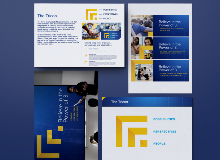 INT_3.0_CaseStudies_Frames_Triversity_Reformatted-09.png