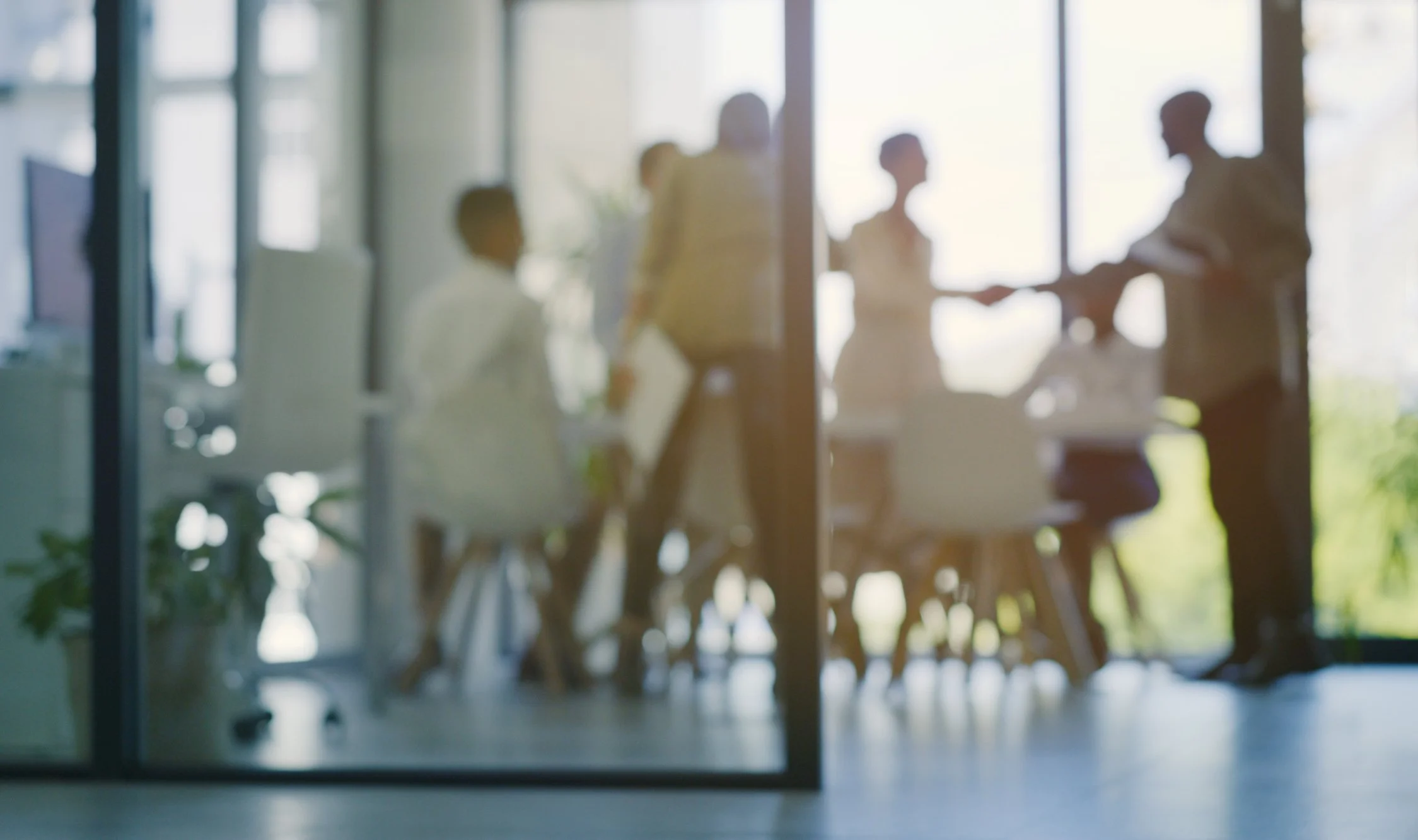 people collaborating within an office space