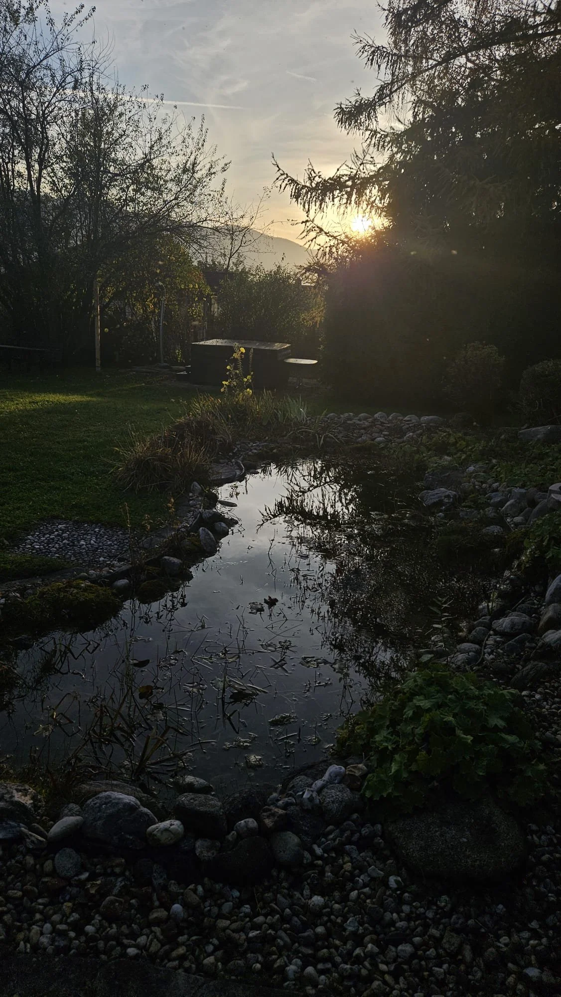 WhatsApp Bild 2024-11-06 um 21.08.25_5871f5b1.jpg