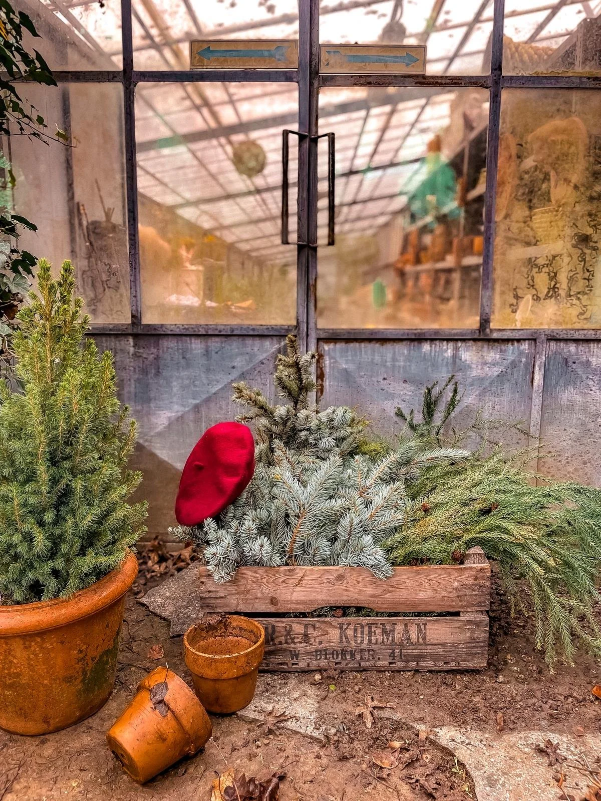 WhatsApp Image 2025-11-21 at 16.43.15.jpeg