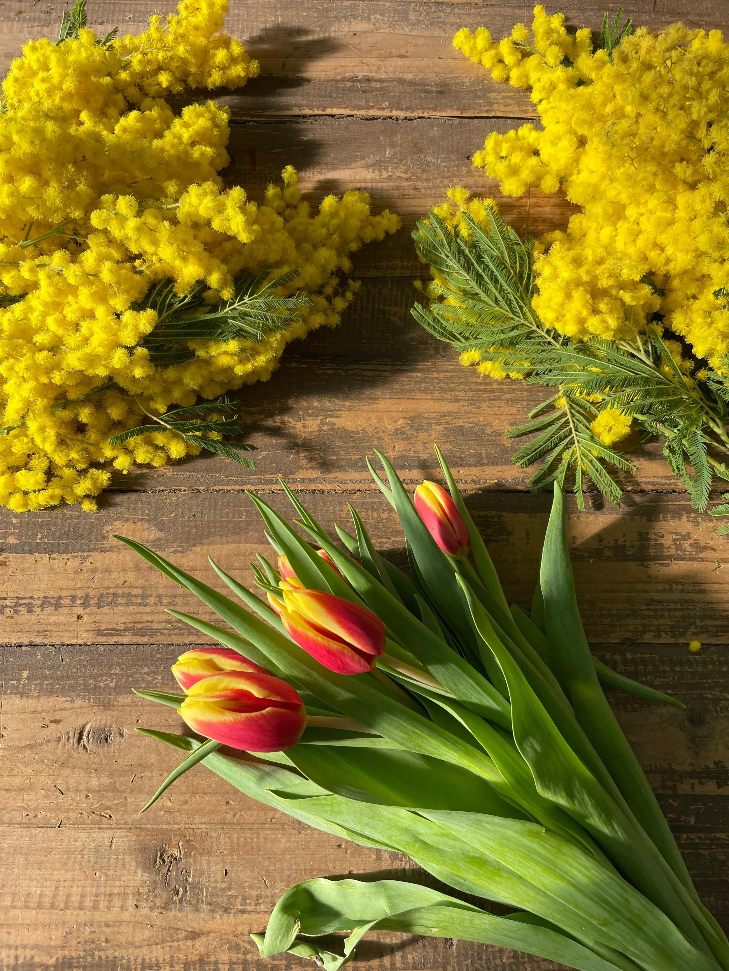 WhatsApp Image 2025-02-25 at 16.33.40.jpeg