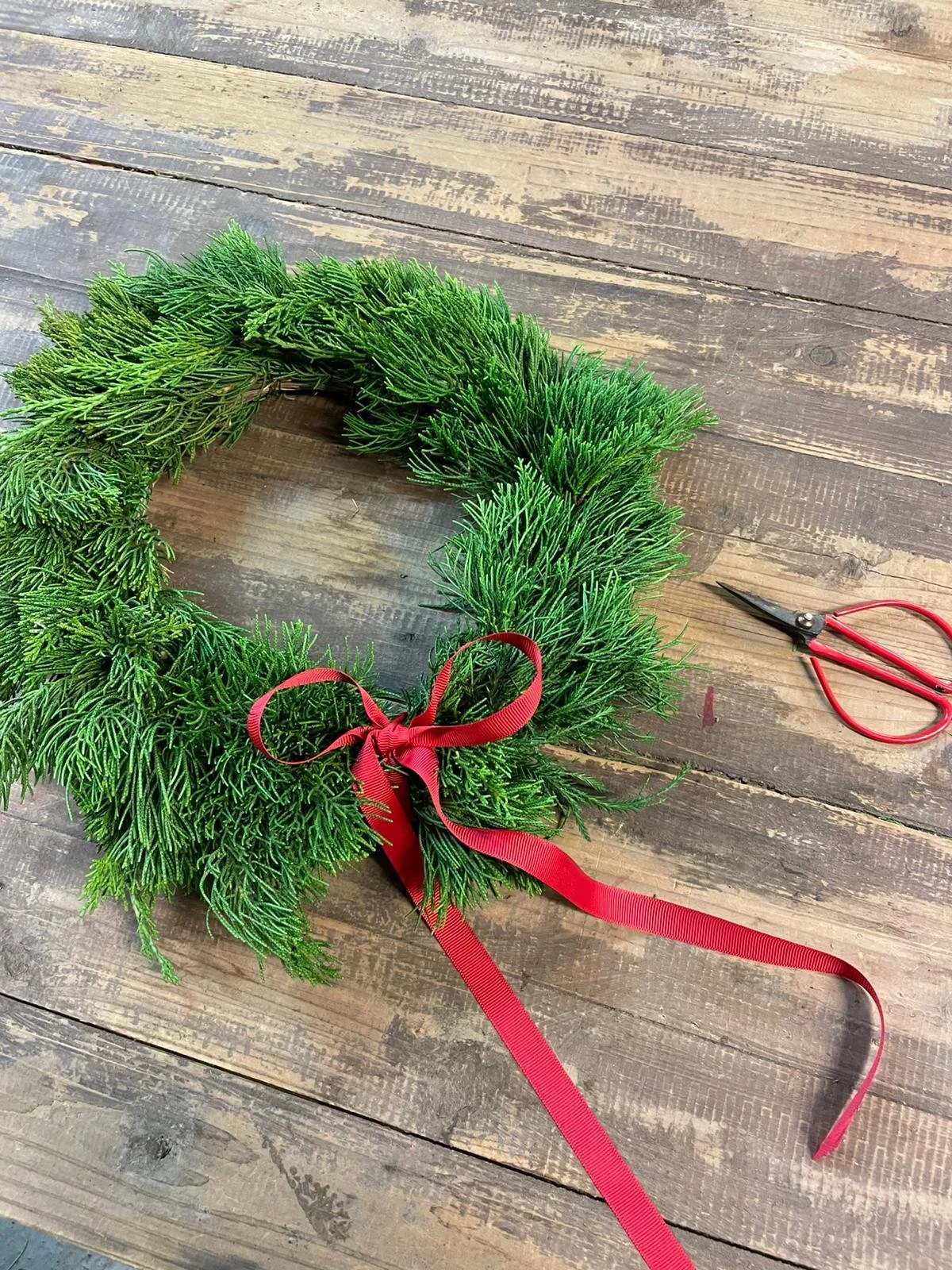 WhatsApp Image 2025-11-21 at 16.43.21 (1).jpeg