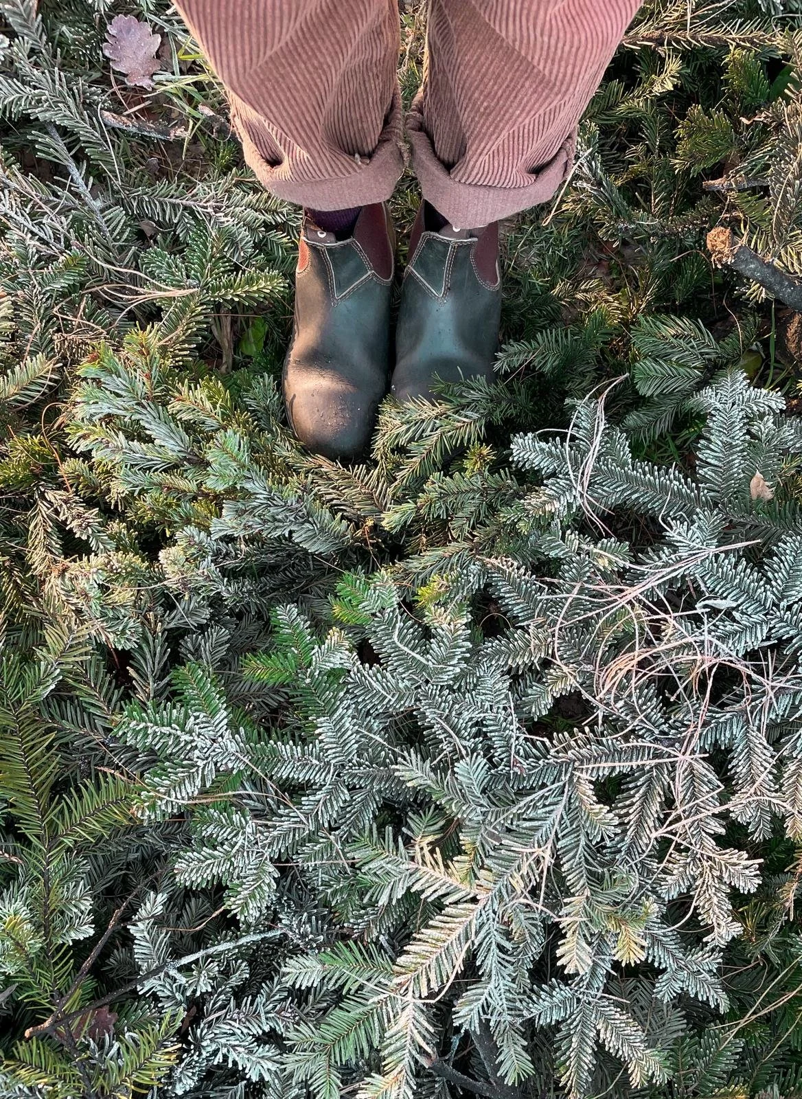 WhatsApp Image 2025-11-21 at 16.43.16.jpeg