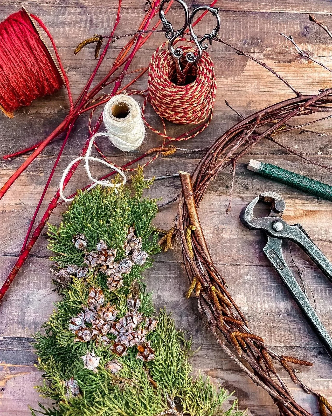 WhatsApp Image 2025-11-21 at 16.43.18.jpeg